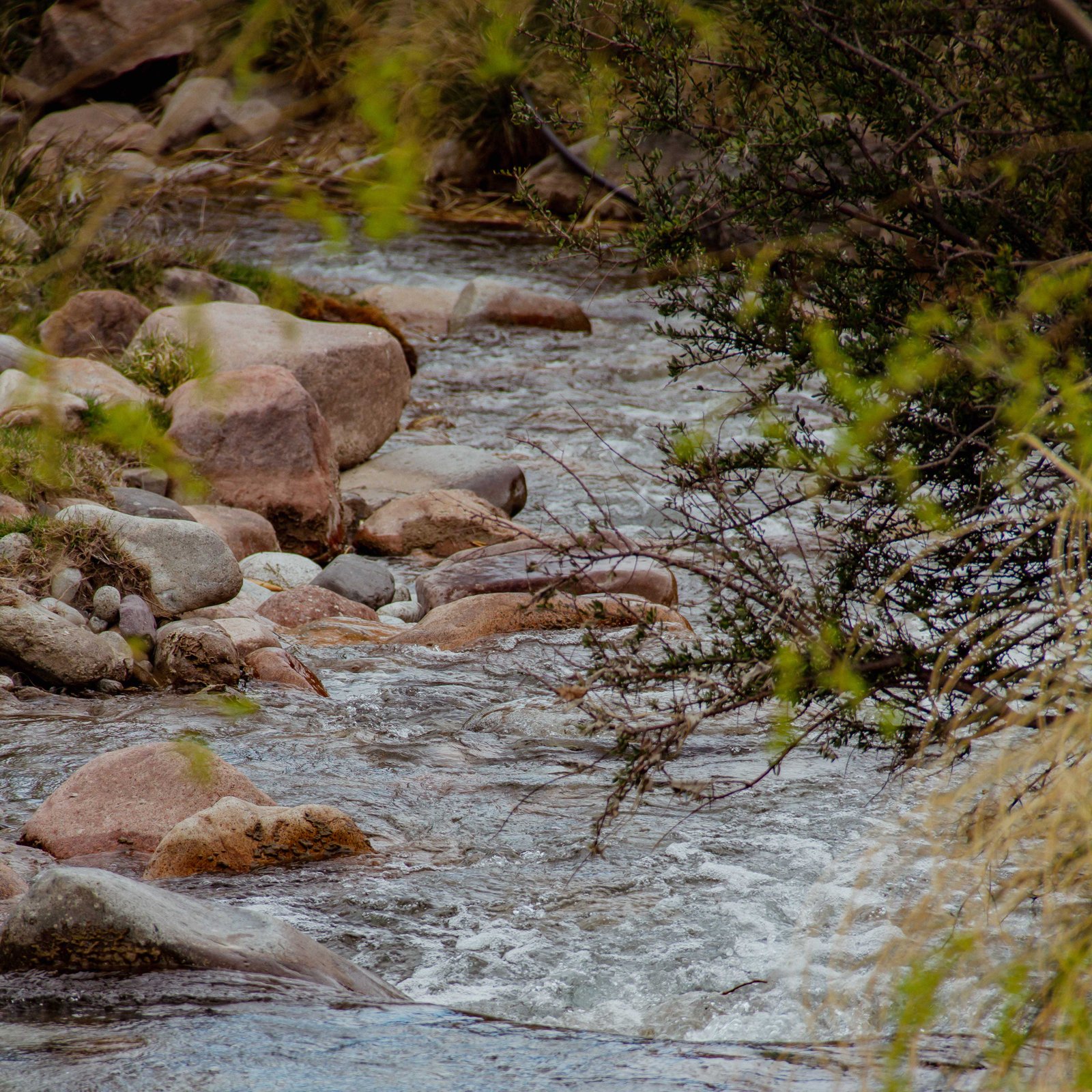 Foto de Arroyos y senderos